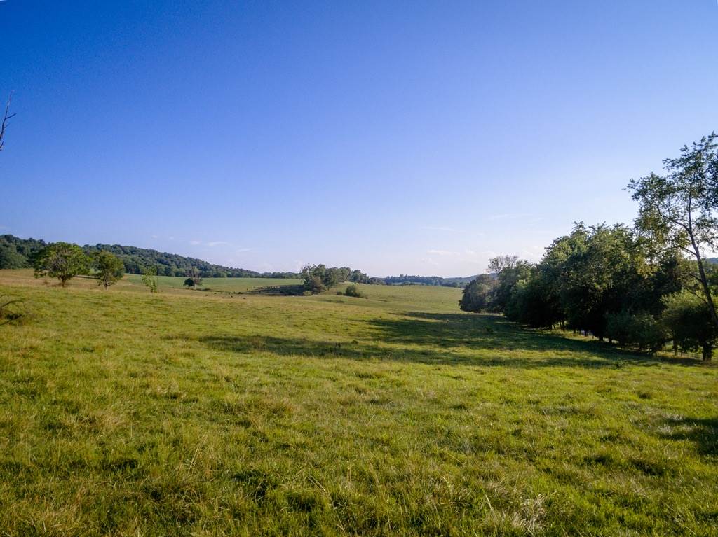 Tbd Fridleys Gap Road Harrisonburg, VA 22802 - Photo 2 of 26 Gallery Image 2