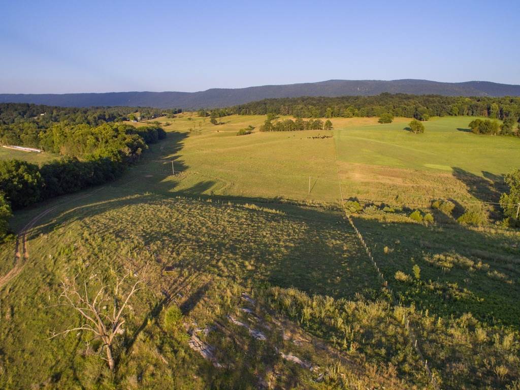Tbd Fridleys Gap Road Harrisonburg, VA 22802 - Photo 21 of 26 Gallery Image 21