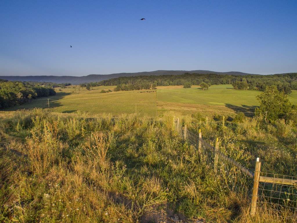 Tbd Fridleys Gap Road Harrisonburg, VA 22802 - Photo 22 of 26 Gallery Image 22