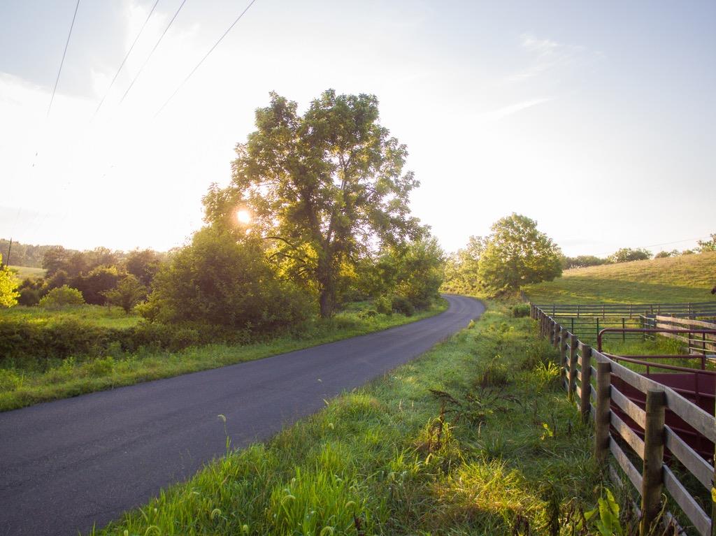 Tbd Fridleys Gap Road Harrisonburg, VA 22802 - Photo 25 of 26 Gallery Image 25