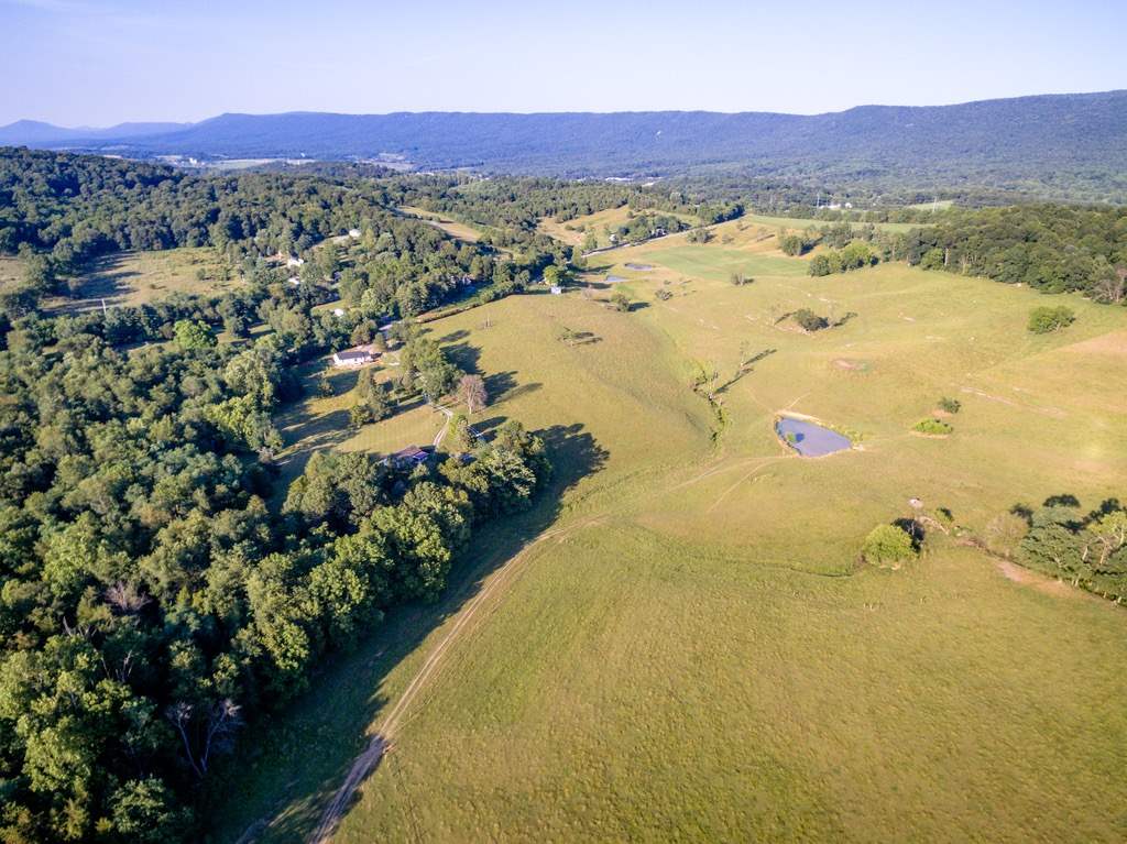 Tbd Fridleys Gap Road Harrisonburg, VA 22802 - Photo 7 of 26 Gallery Image 7
