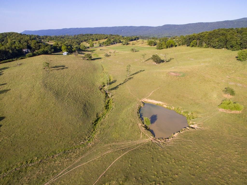 Tbd Fridleys Gap Road Harrisonburg, VA 22802 - Photo 8 of 26 Gallery Image 8