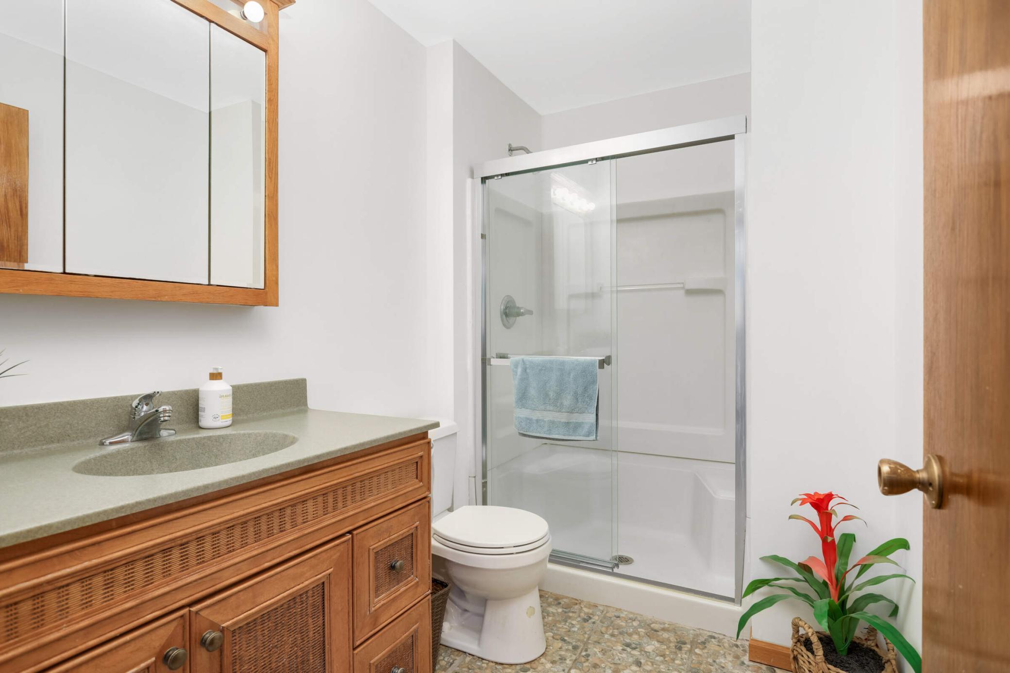 13360 Wellington Circle Champlin, MN 55316 - Photo 23 of 29