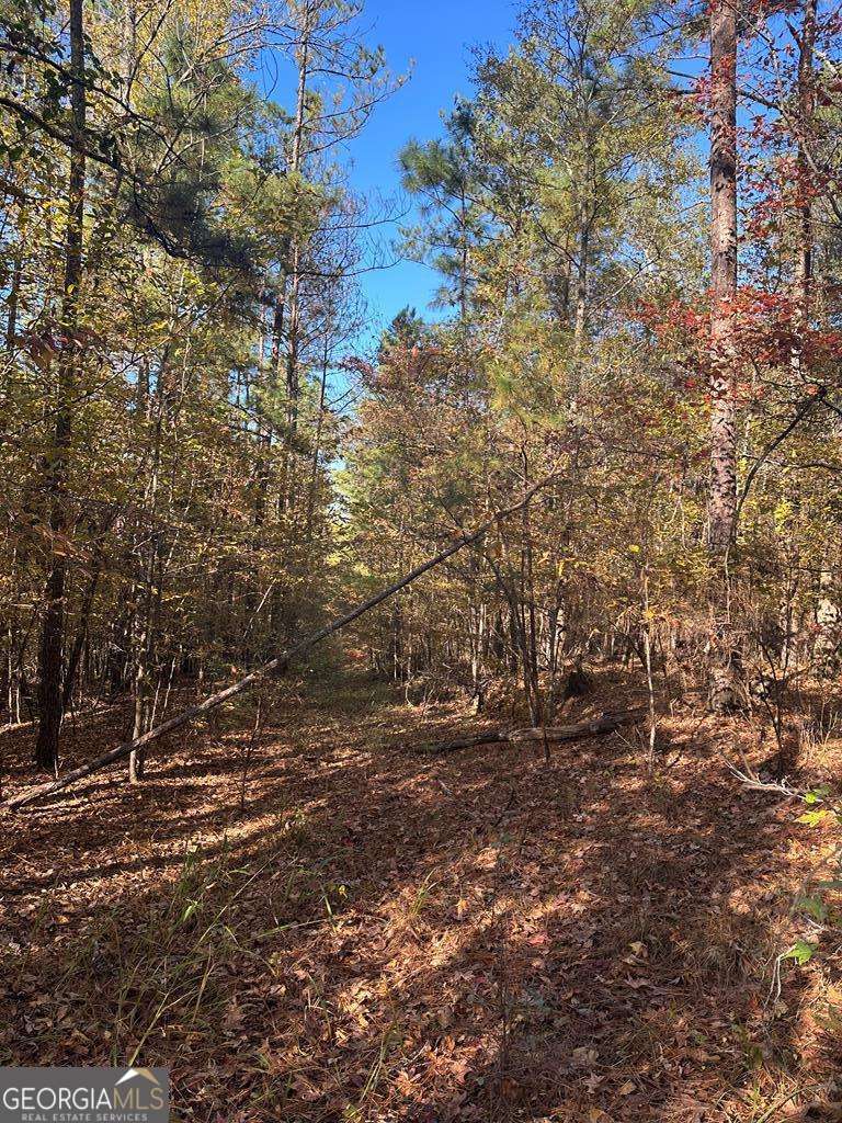 Lot #1 Frontier Shores Road Sparta, GA 31087 - Photo 15 of 15 a view of empty space and a yard