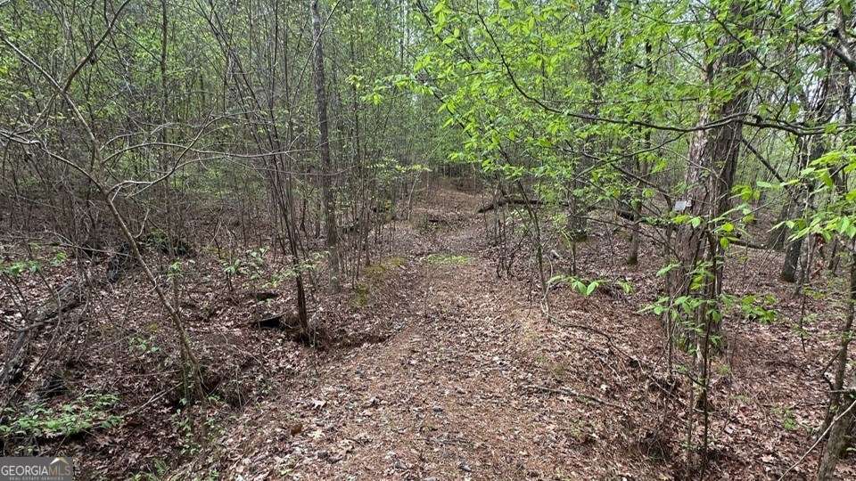 Lot #1 Frontier Shores Road Sparta, GA 31087 - Photo 3 of 15 a view of a forest that has a tree