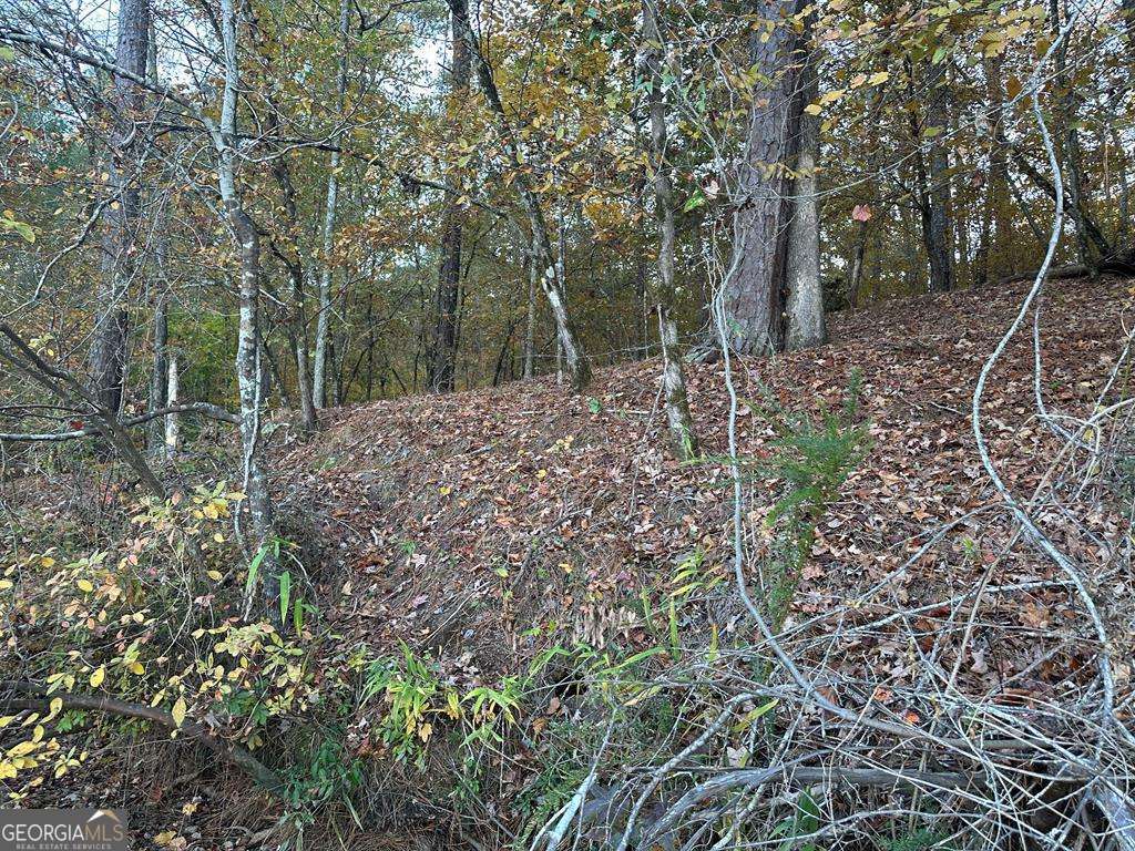 Lot #1 Frontier Shores Road Sparta, GA 31087 - Photo 6 of 15 a backyard of a house with lots of green space
