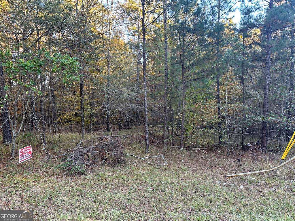 Lot #1 Frontier Shores Road Sparta, GA 31087 - Photo 7 of 15 a backyard of a house with lots of green space
