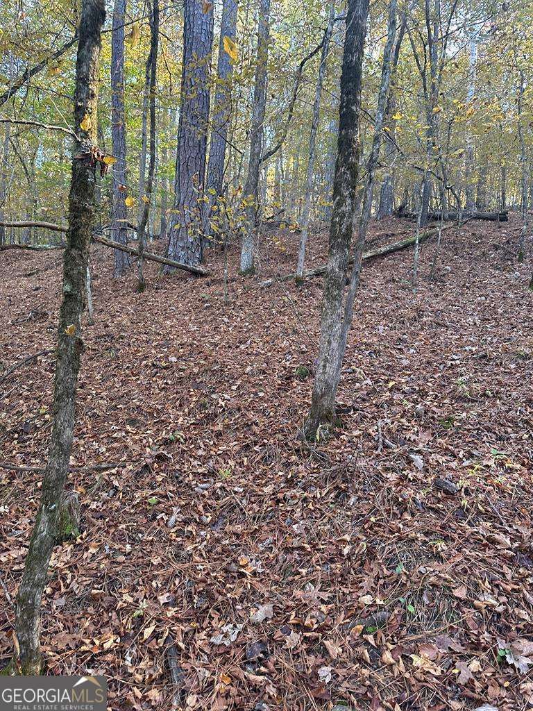 Lot #1 Frontier Shores Road Sparta, GA 31087 - Photo 9 of 15 a view of a backyard with trees