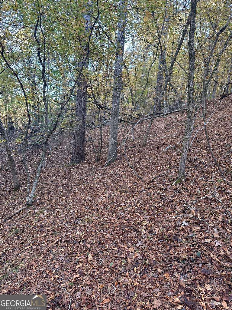 Lot #1 Frontier Shores Road Sparta, GA 31087 - Photo 10 of 15 a backyard of a house with lots of green space