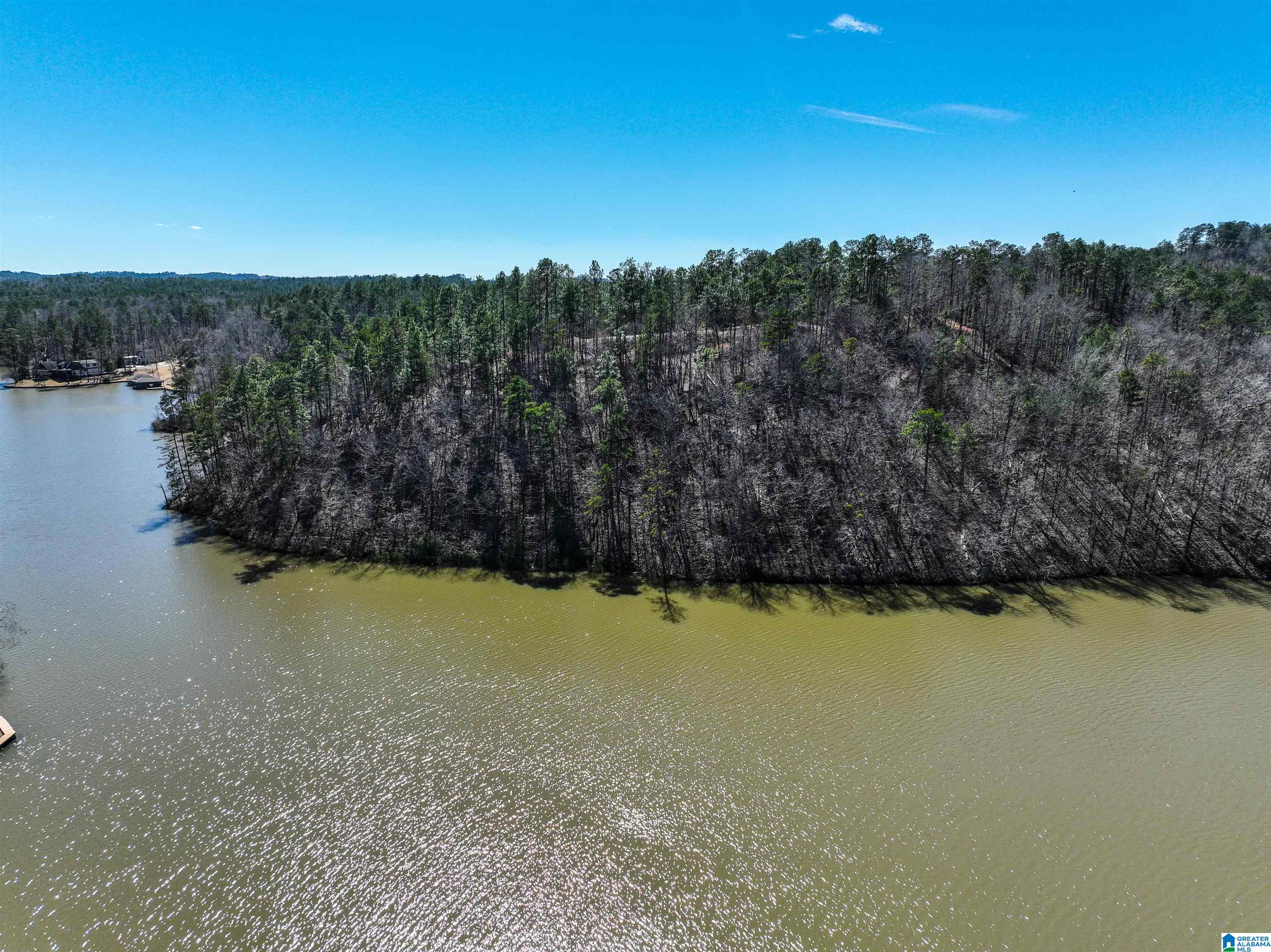 0 Preserve Road, Unit LOT 8 Rockford, AL 35136 - Photo 5 of 8