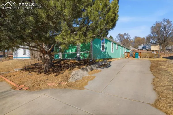 a street view with large trees