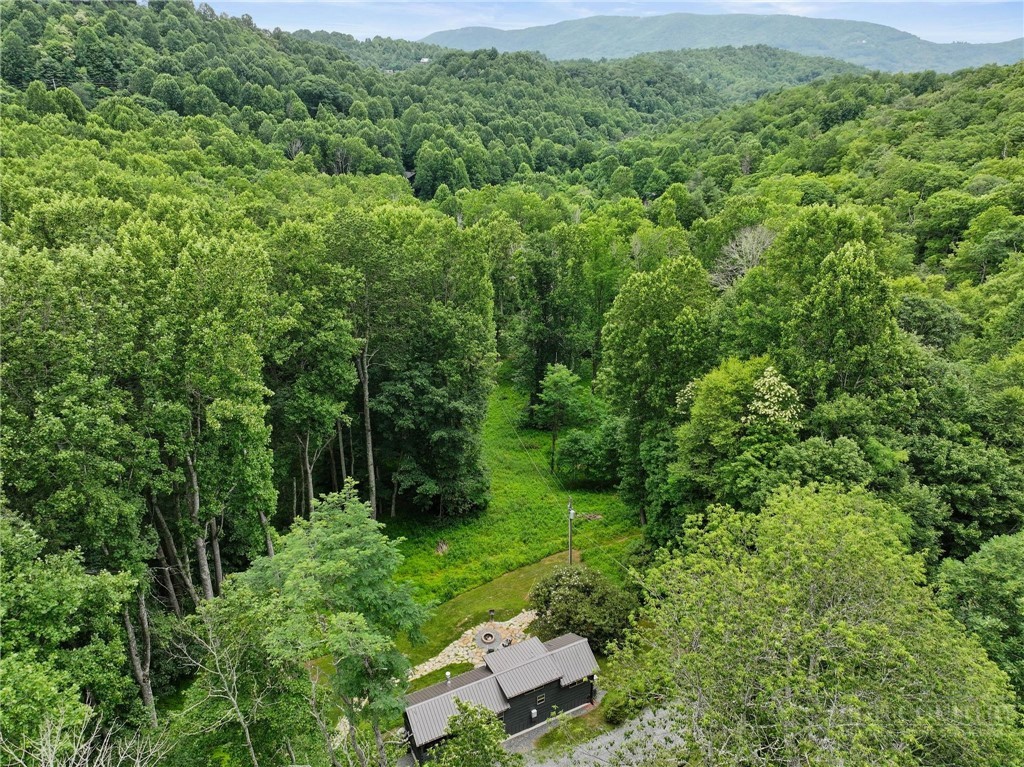 165 John Dotson Road Boone, NC 28607 - Photo 28 of 28