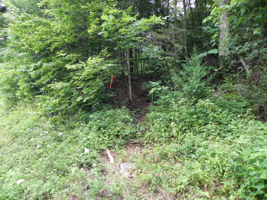 Tbd Burem Road Rogersville, TN 37857 - Photo 14 of 22 DSCN1059