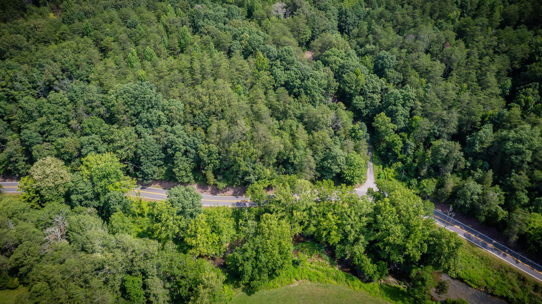 Tbd Burem Road Rogersville, TN 37857 - Photo 3 of 22 102
