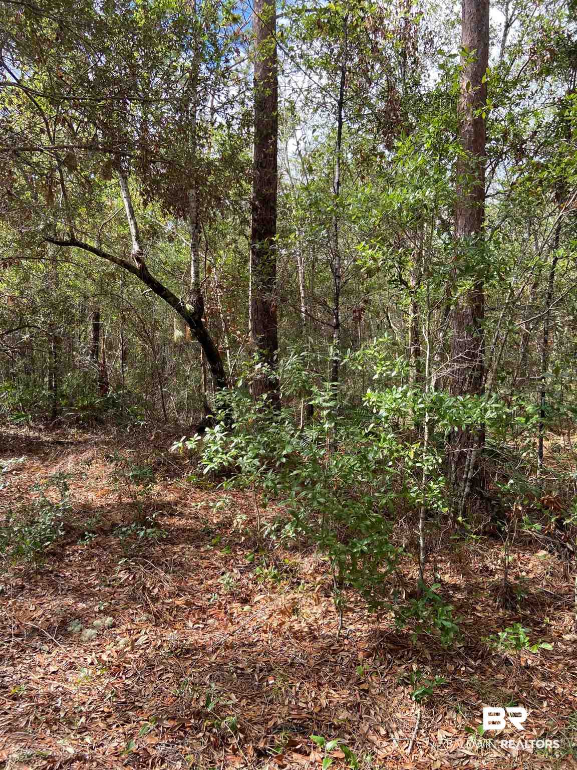 0 Pine Street Elberta, AL 36530 - Photo 13 of 14
