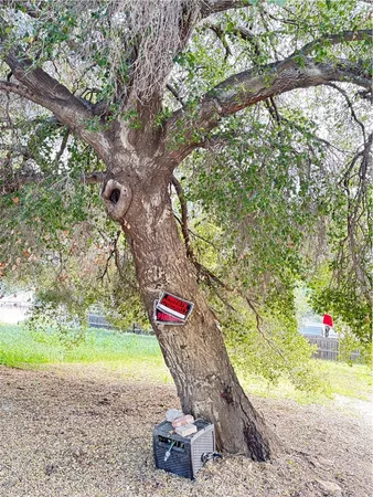 a view of a yard with an outdoor space