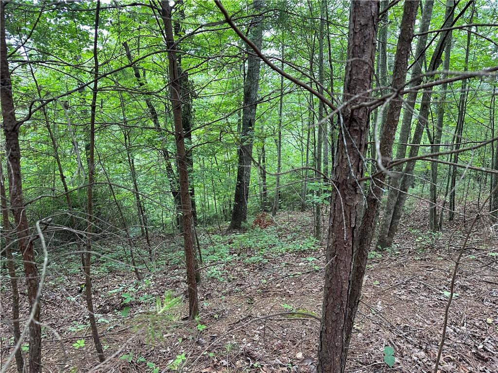585 Galaxy Way Ranger, GA 30734 - Photo 5 of 19