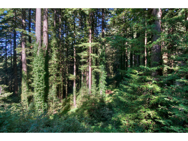 13872 Silver Sky Way Redwood City, CA 94062 - Photo 23 of 24 a view of outdoor space and garden