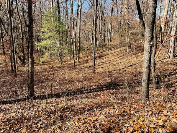 $25,000 | Tbd Ash Knob Road, Hayesville, NC 28904