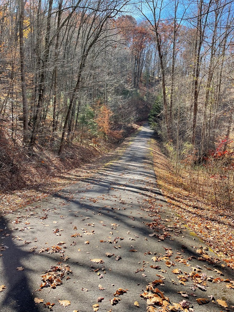 Tbd Ash Knob Road Hayesville, NC 28904 - Photo 2 of 10