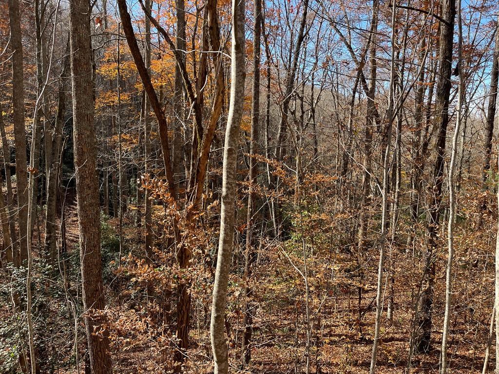 Tbd Ash Knob Road Hayesville, NC 28904 - Photo 8 of 10