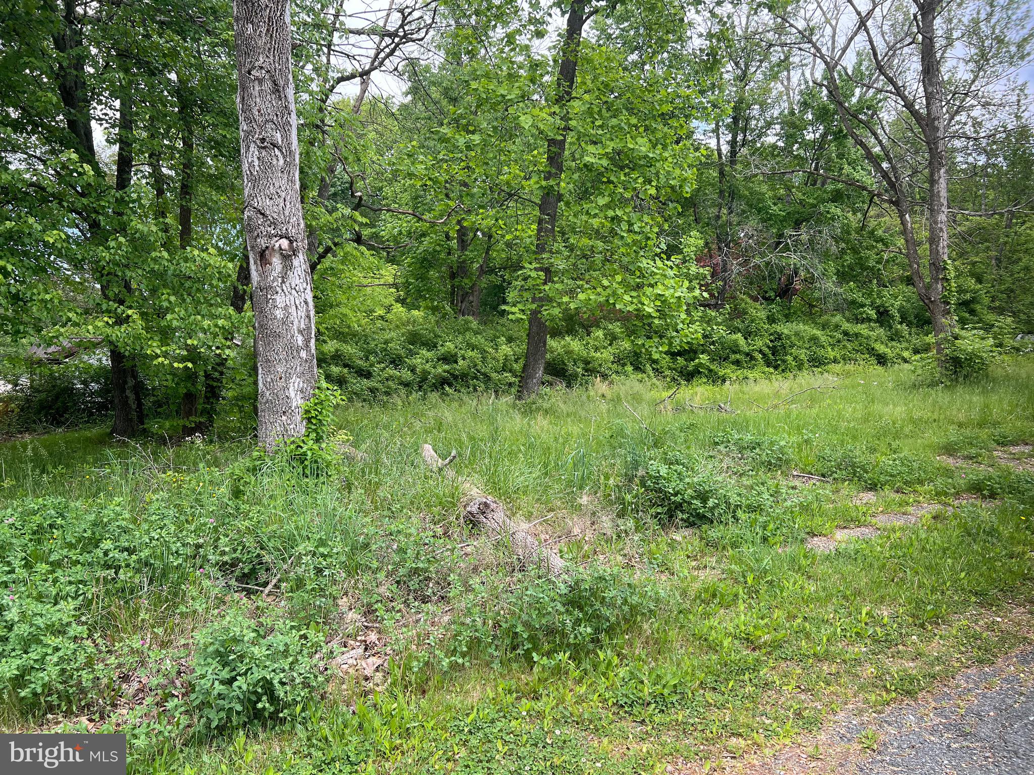 2205 Thomas Run Road Bel Air, MD 21015 - Photo 3 of 5
