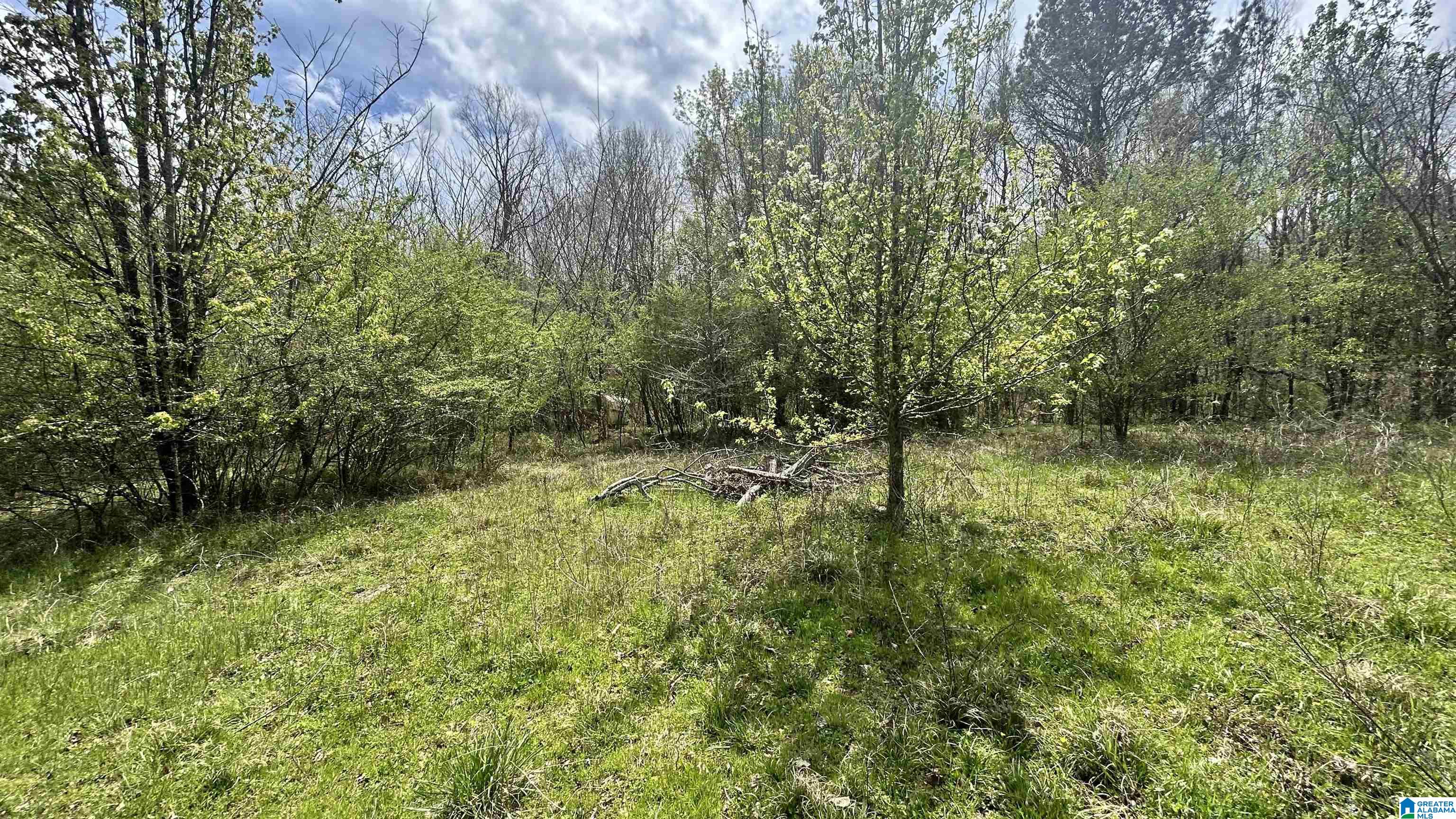 180 Demotte Road Southeast Bessemer, AL 35022 - Photo 4 of 13 Gallery Image 4