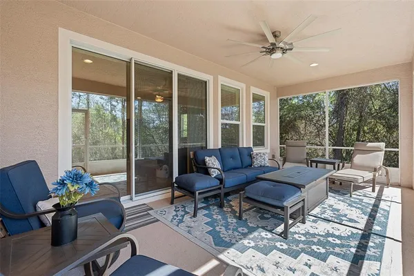 a view of a backyard with large trees
