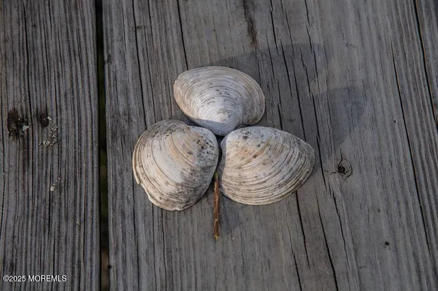 $1,749,000 | 500 Ocean Terrace, Unit 6, Seaside Heights, NJ 08751