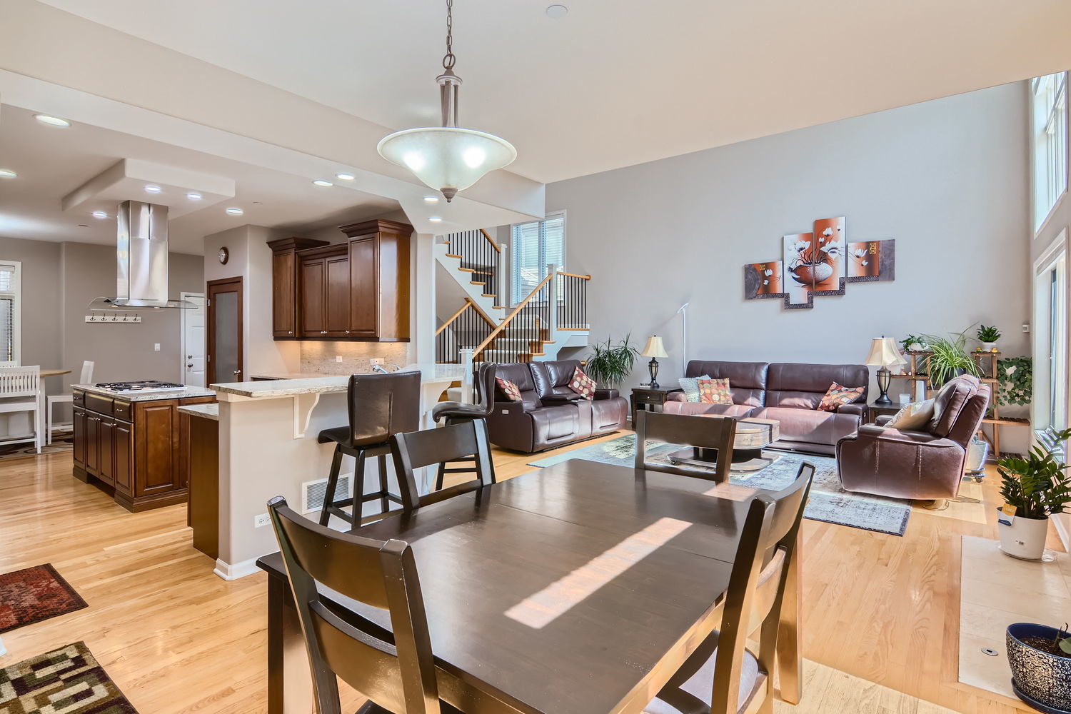 1419 Rue Paris Place Inverness, IL 60067 - Photo 12 of 28 a living room with lots of furniture and kitchen view