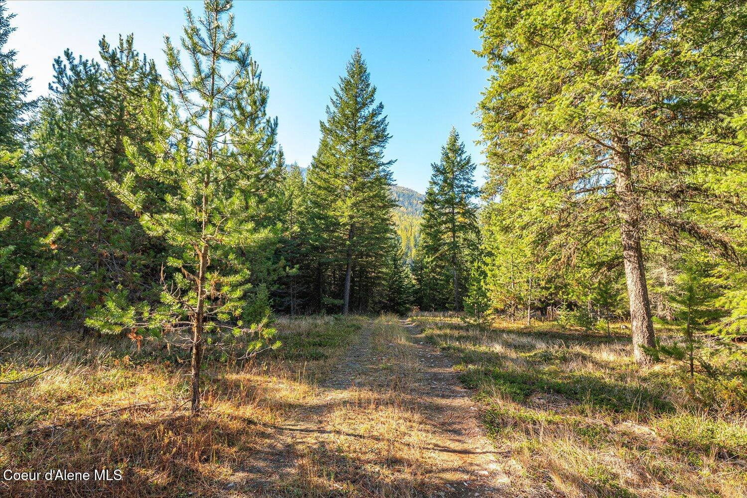 Nna North Moyie River Road Bonners Ferry, ID 83805 - Photo 20 of 57 09-NNA Moyie River Rd 008