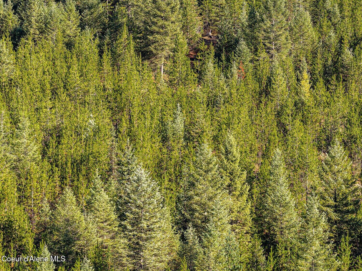 Nna North Moyie River Road Bonners Ferry, ID 83805 - Photo 25 of 57 18-NNA Moyie River Rd 017