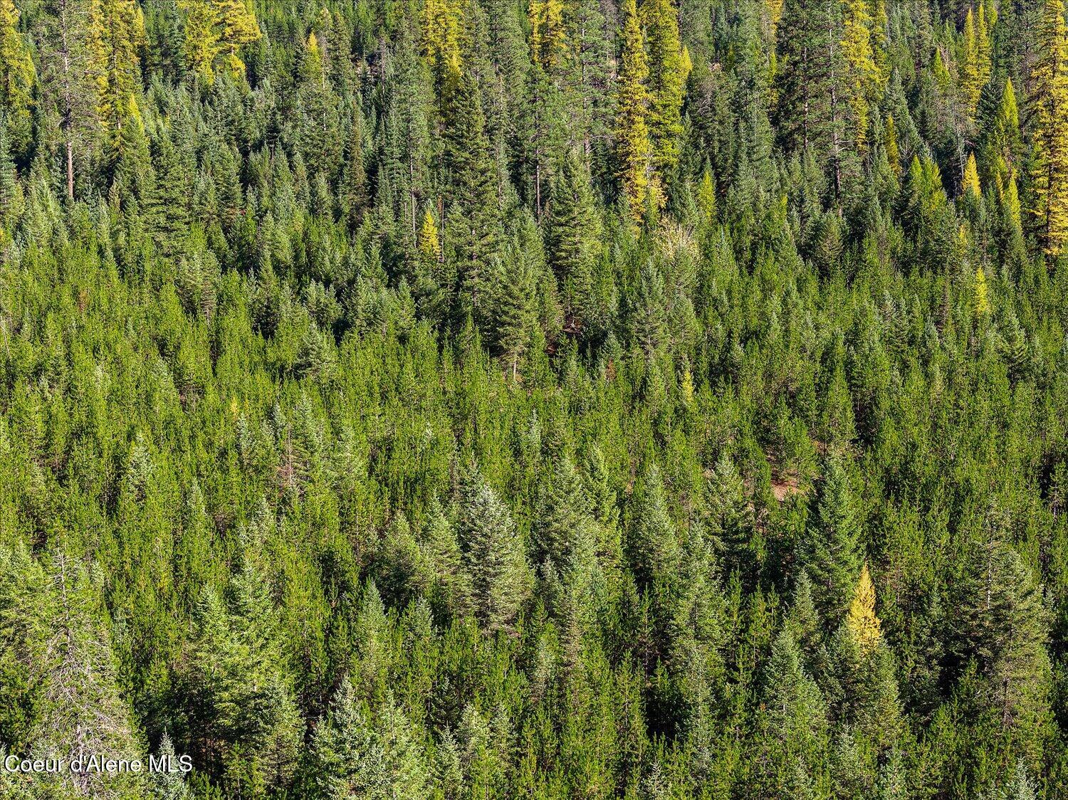 Nna North Moyie River Road Bonners Ferry, ID 83805 - Photo 26 of 57 19-NNA Moyie River Rd 018
