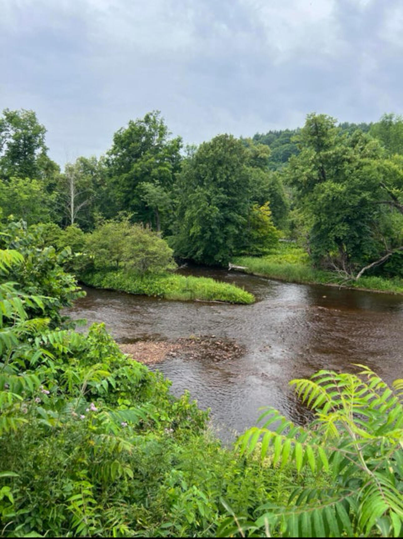 0 River Road Malone, NY 12953 - Photo 7 of 12 IMG_0507