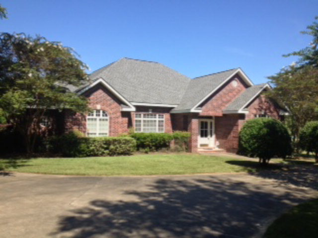 Main View