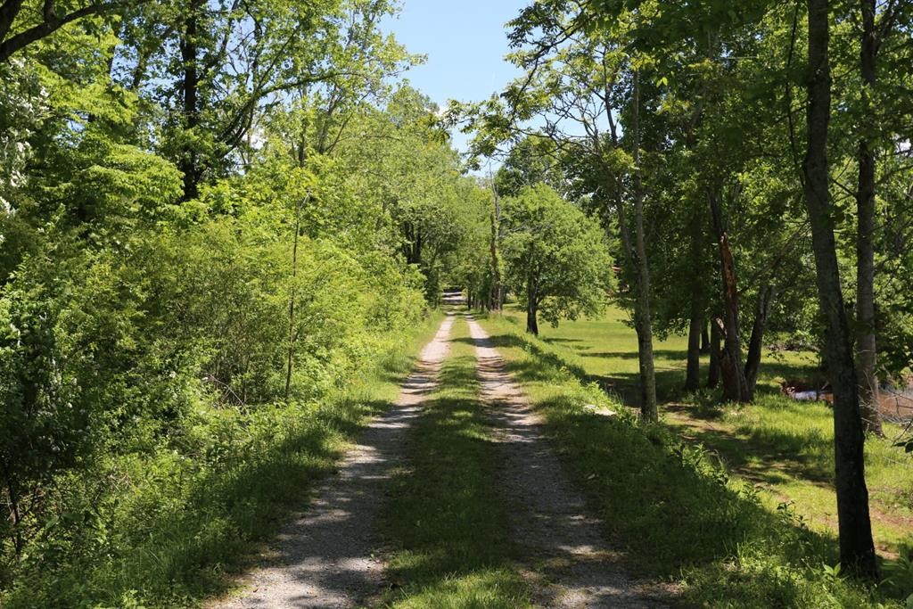 0 Blue Heron Lane Spring City, TN 37381 - Photo 27 of 32 Gallery Image 27
