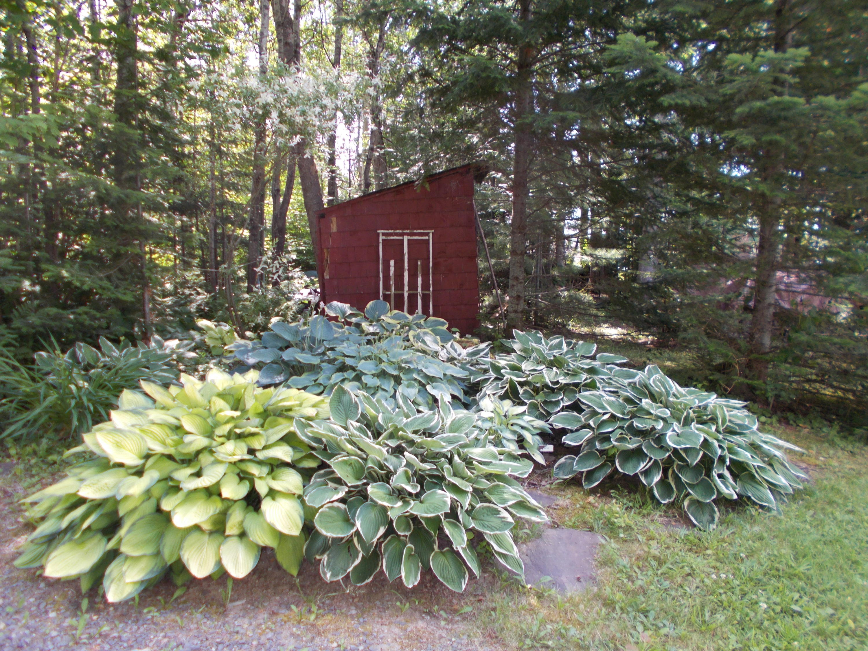 287 Cyr Road Sinclair, ME 04779 - Photo 6 of 23 DSCN7866