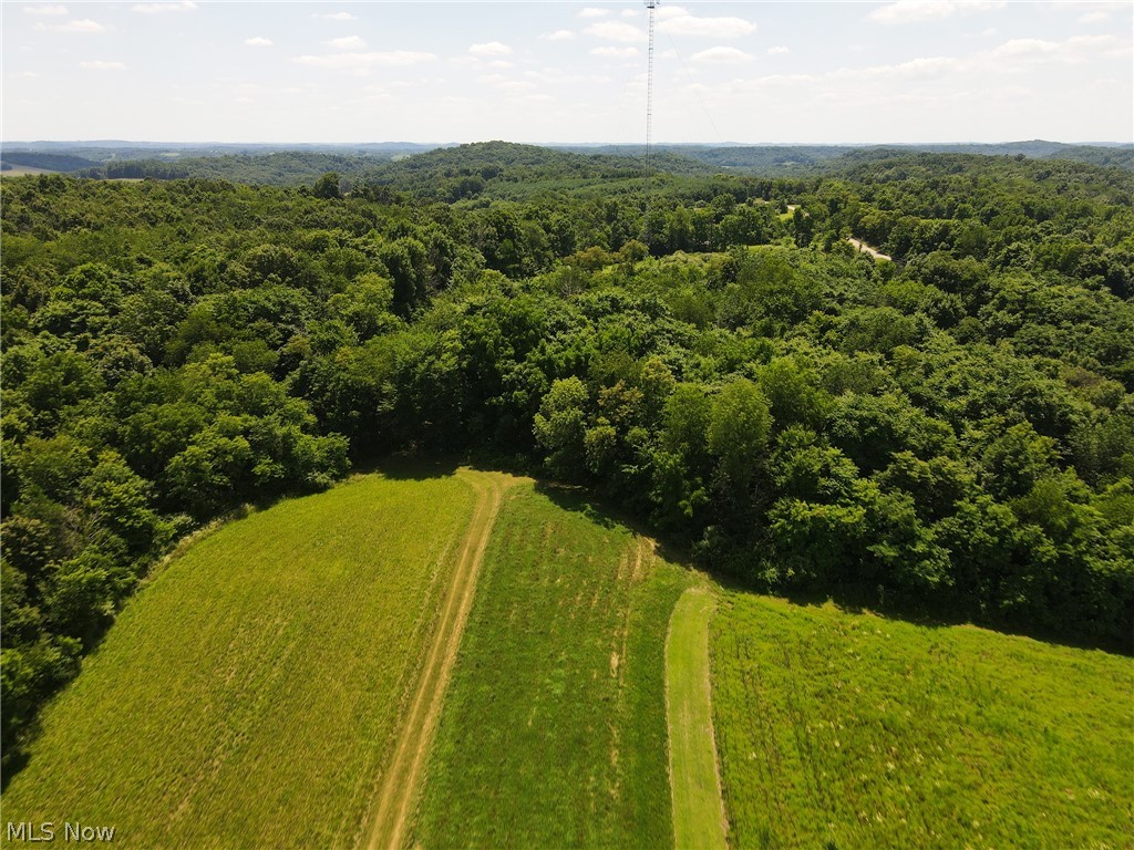 73480 Birmingham Road Kimbolton, OH 43749 - Photo 9 of 10 Gallery Image 9