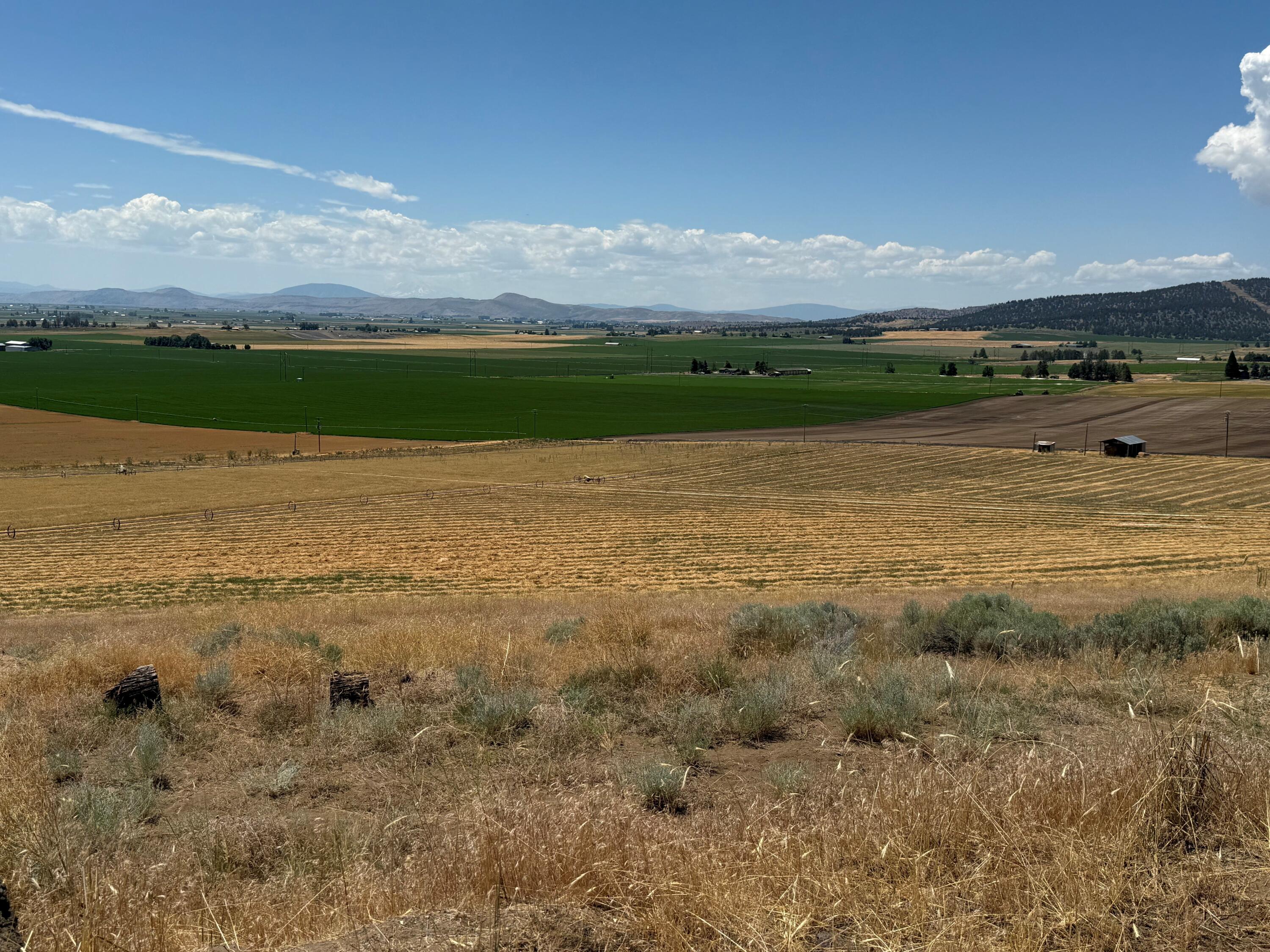 17550 Maupin Road Malin, OR 97632 - Photo 50 of 62 Gallery Image 50