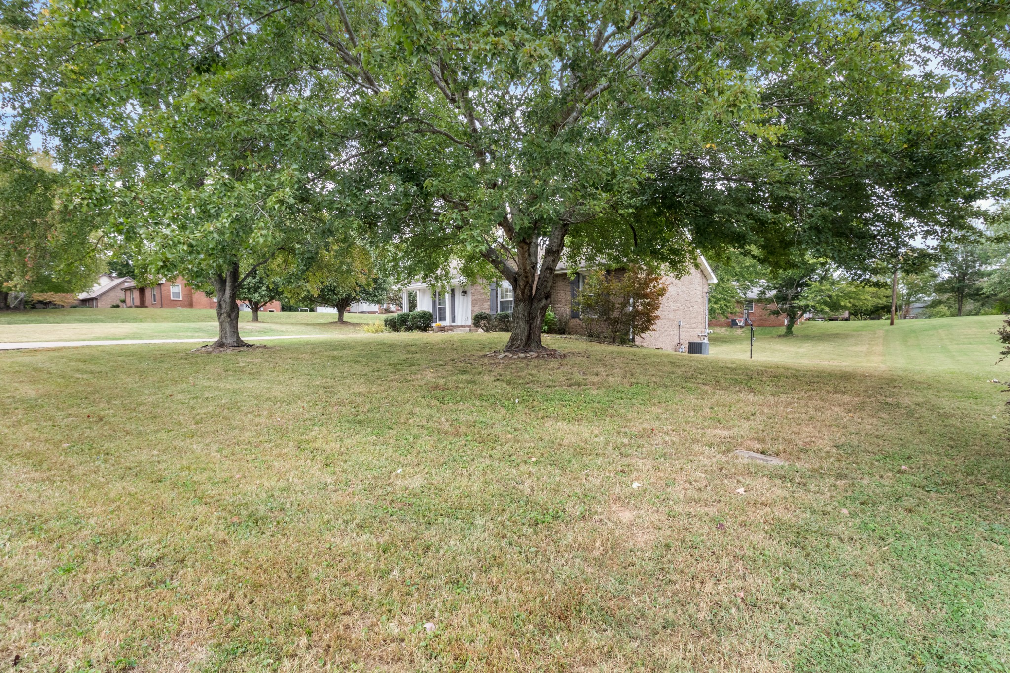 521 Sango Road Clarksville, TN 37043 - Photo 44 of 46 a big yard with lots of green space and trees