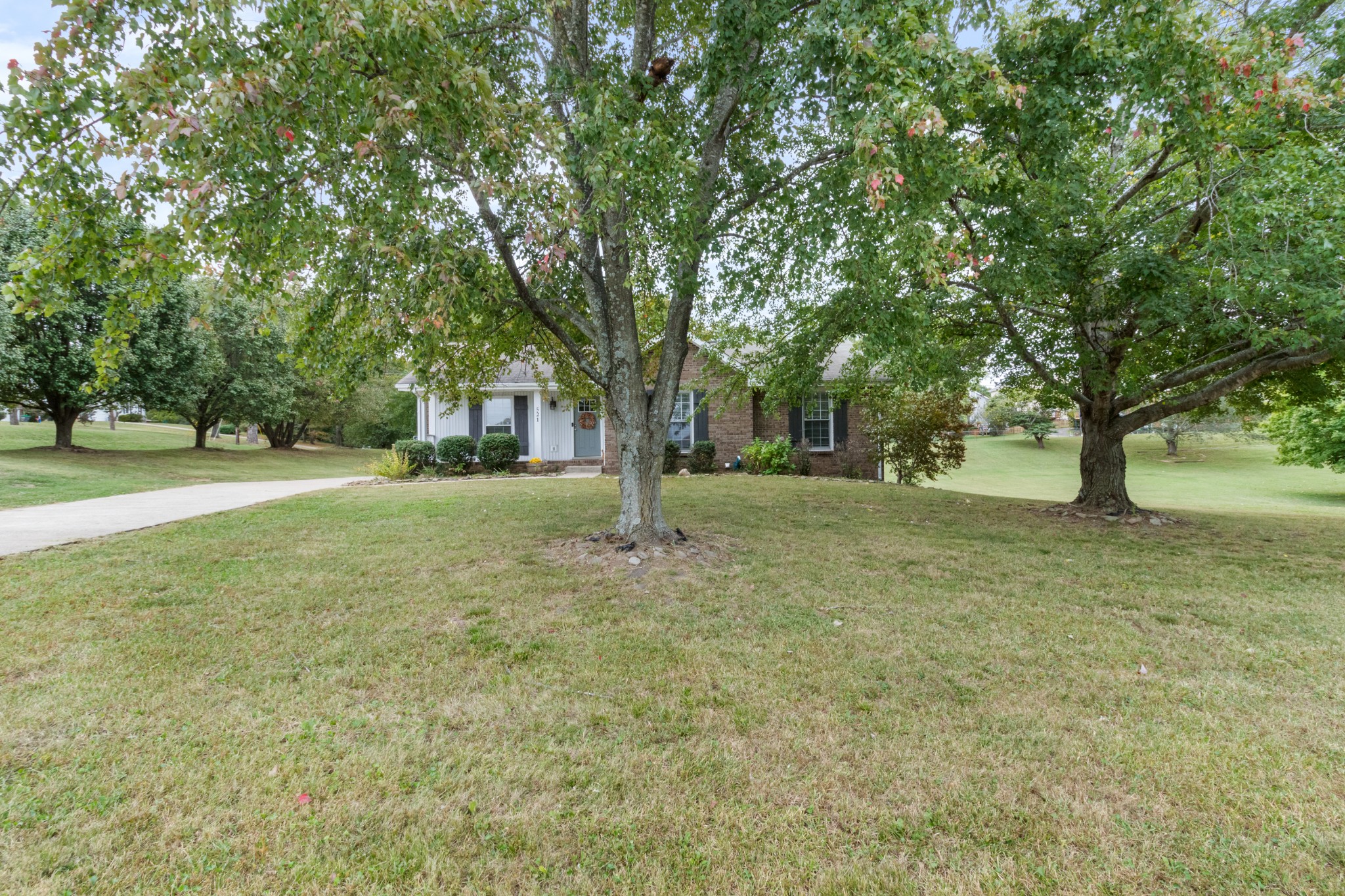 521 Sango Road Clarksville, TN 37043 - Photo 46 of 46 a view of yard with tree and trees