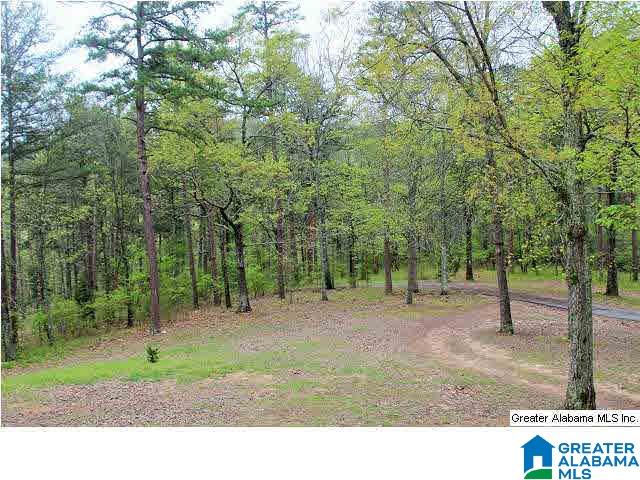 747 Cottaquilla Road Jacksonville, AL 36265 - Photo 21 of 23