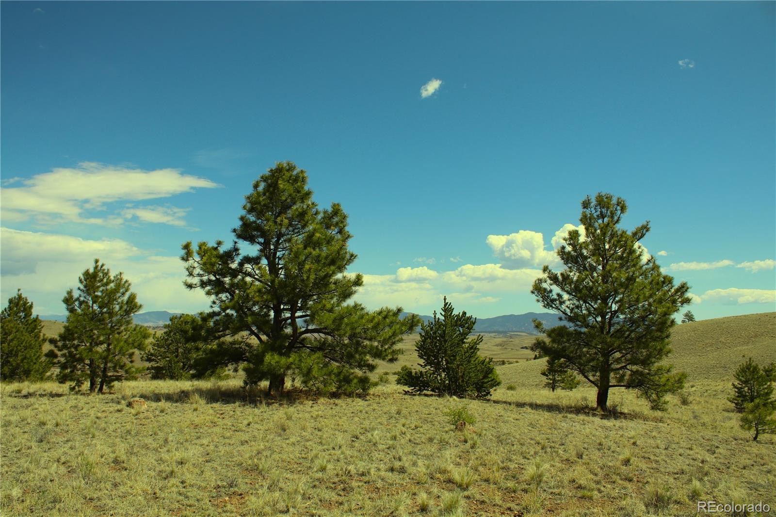 60 Hill Road Hartsel, CO 80449 - Photo 13 of 15
