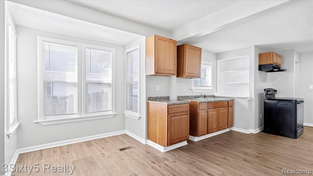 202 Haltiner Street River Rouge, MI 48218 - Photo 5 of 19
