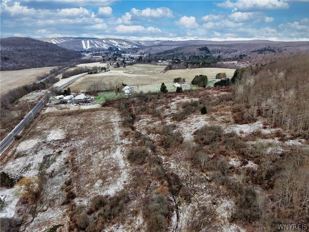 6096 Nys Route Ellicottville, NY 14731 - Photo 3 of 5