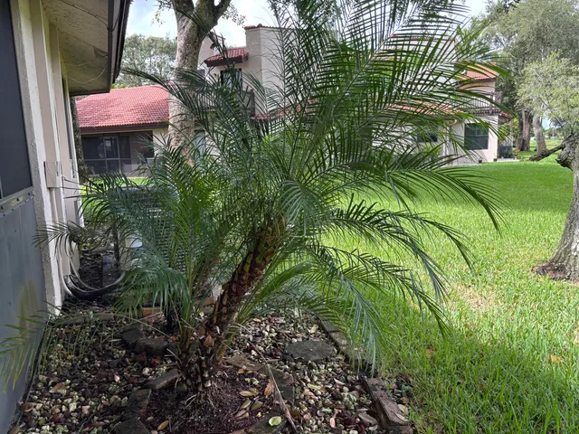 a view of a back yard of the house