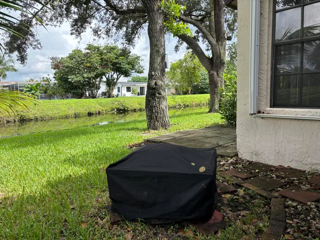 a view of a garden with large trees
