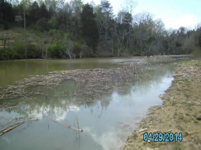 785 Log Lick Road Winchester, KY 40391 - Photo 26 of 26 Photo 26