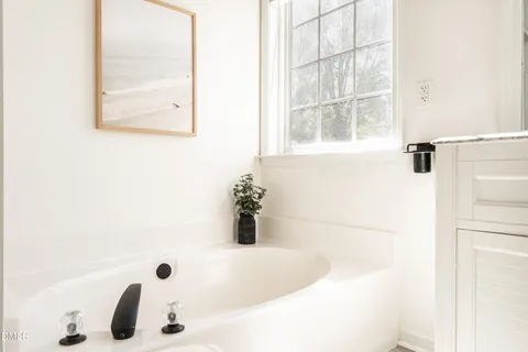 a view of a yard with plants and large trees