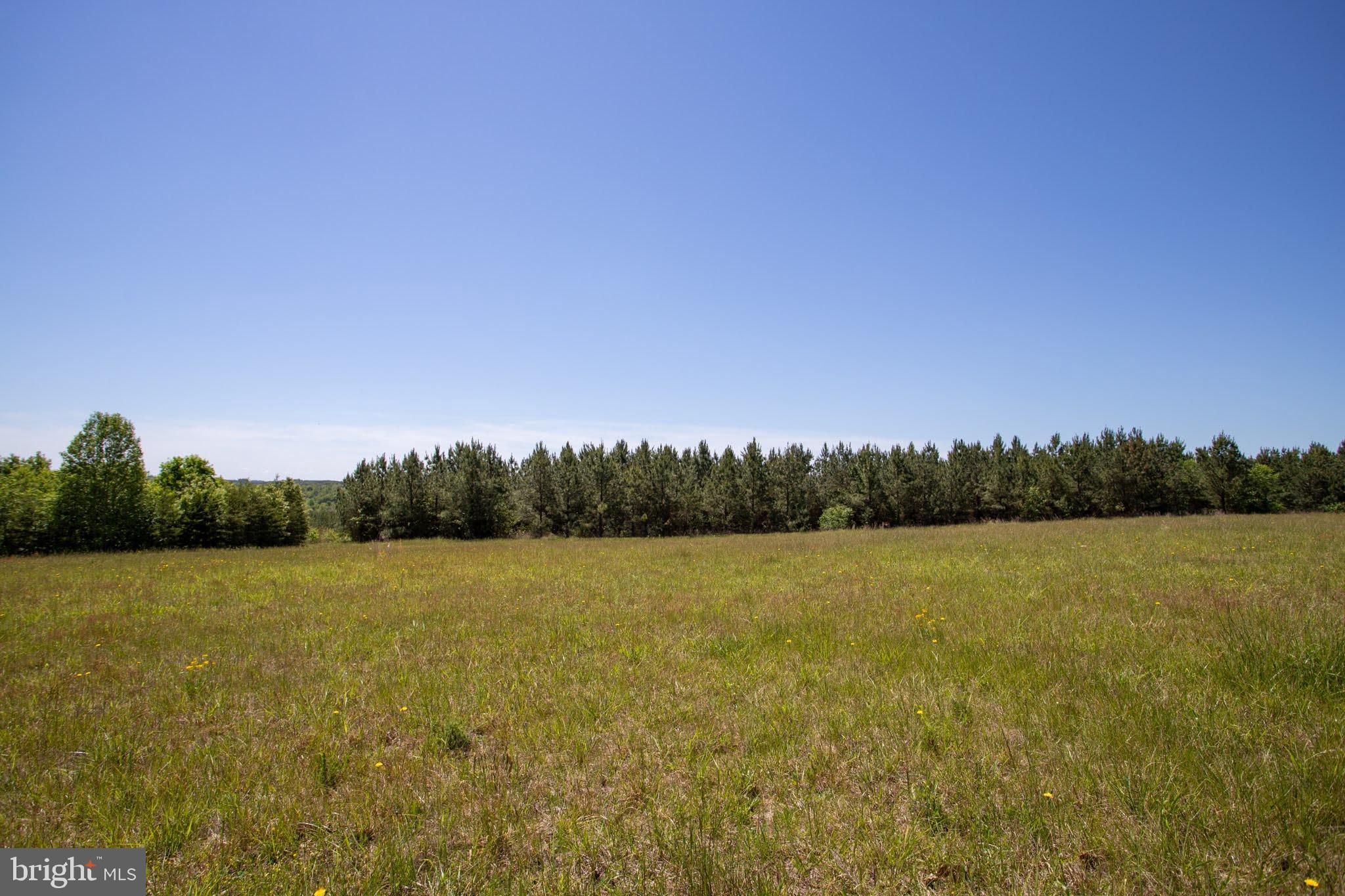 Tbd Tbd Appletree, Unit 9J Sandy Level, VA 24161 - Photo 25 of 32